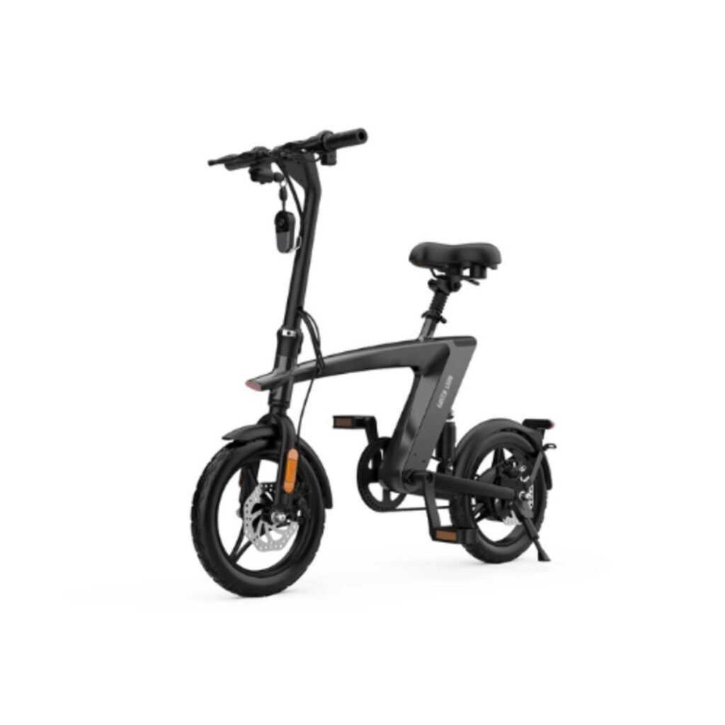 Green Lion Electric Bike