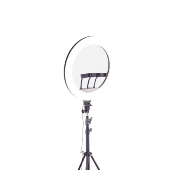 Green Lion Button Mode Ringlight 22"